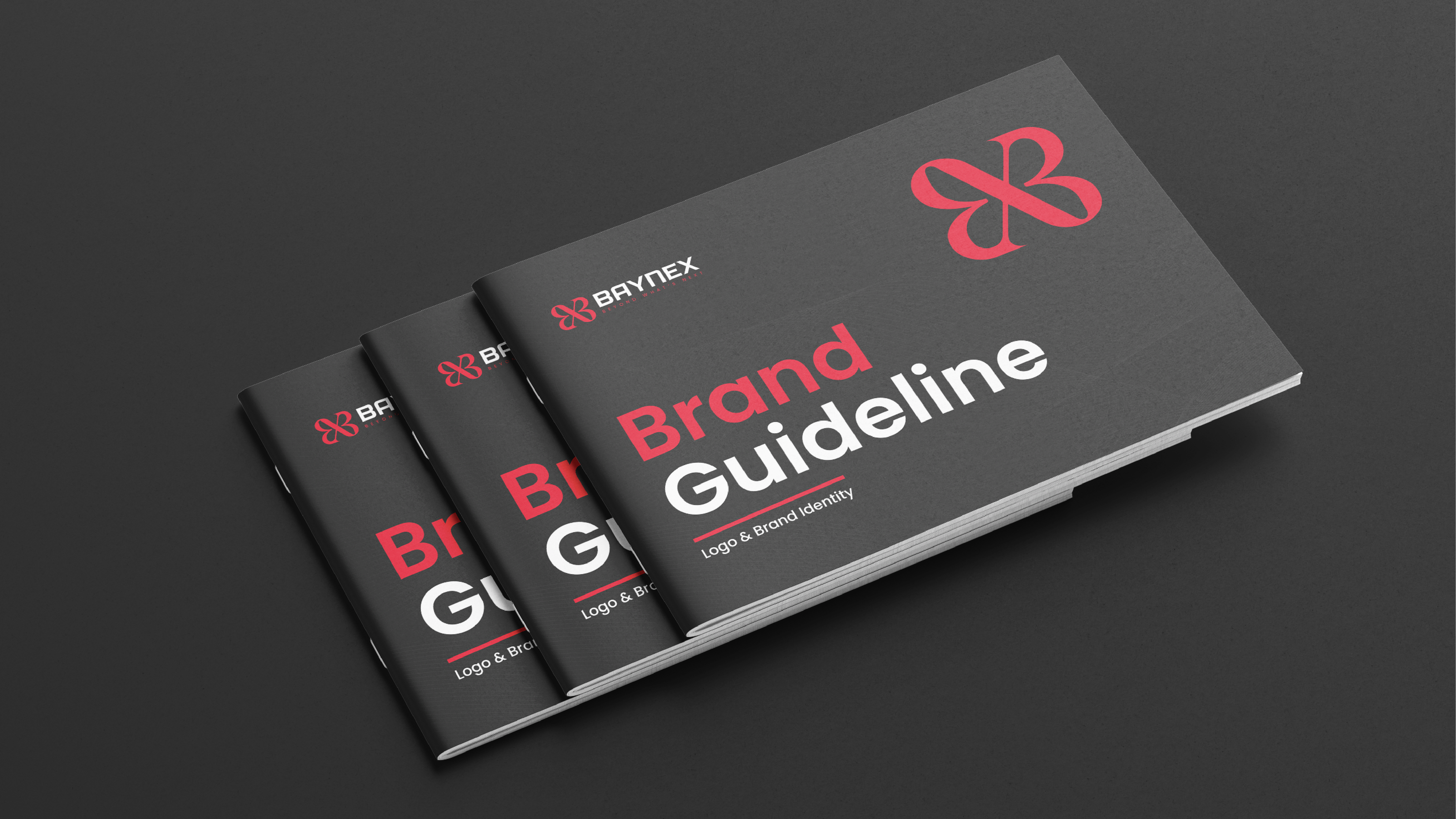 Baynex Brand Identity Guidelines